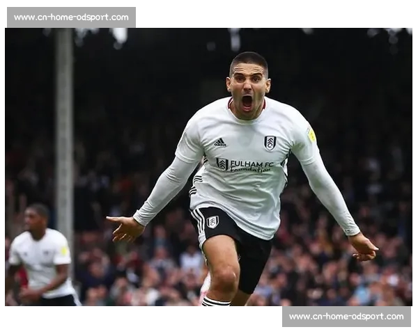 西班牙人免签塞尔维亚门神 德米特罗维奇加盟镇守龙门