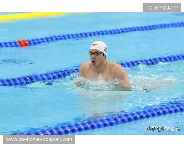 泳坛王者跨界冲浪：汪顺的破浪新征程